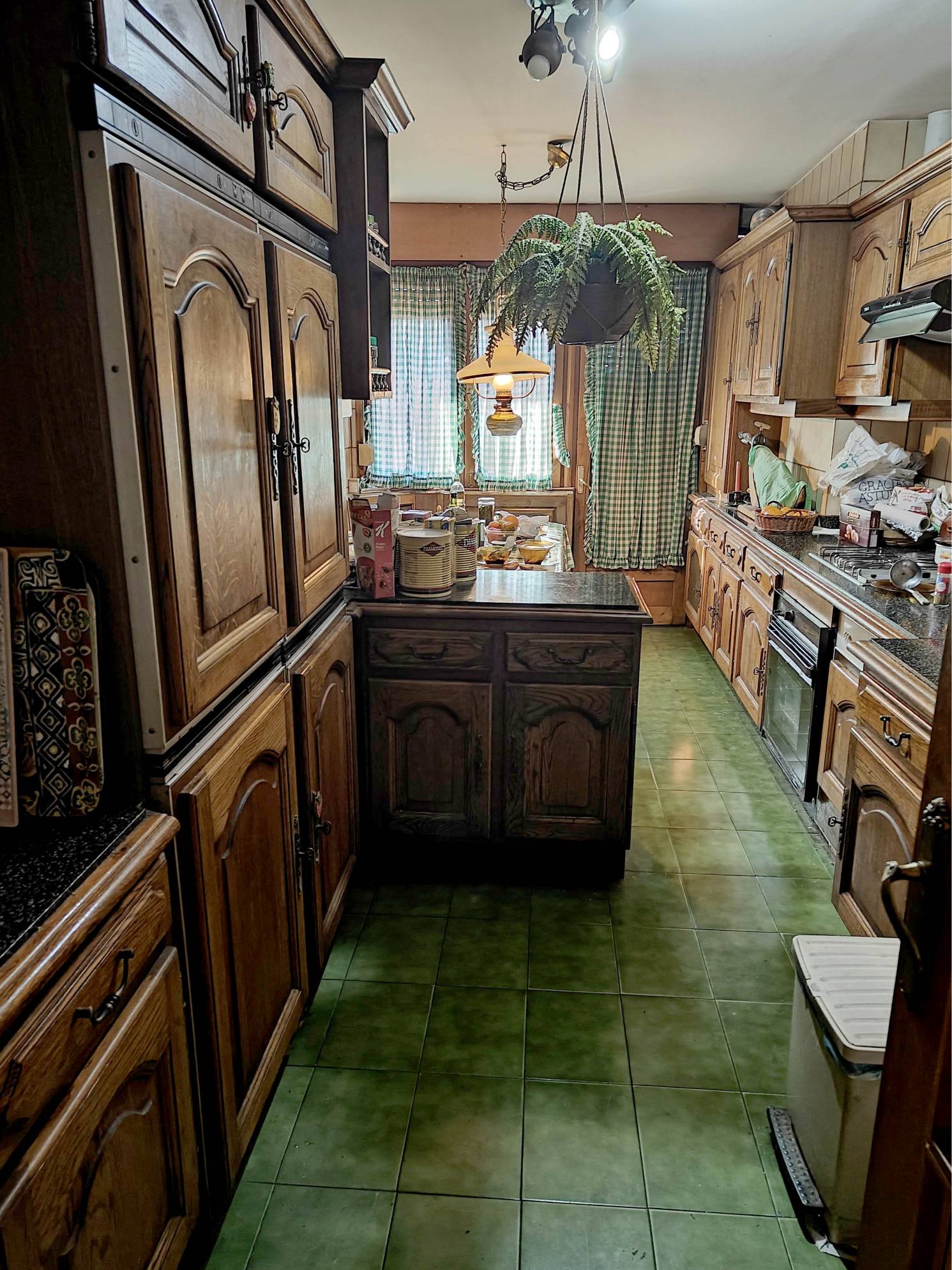 piso 5 cangas narcea asturias (3)