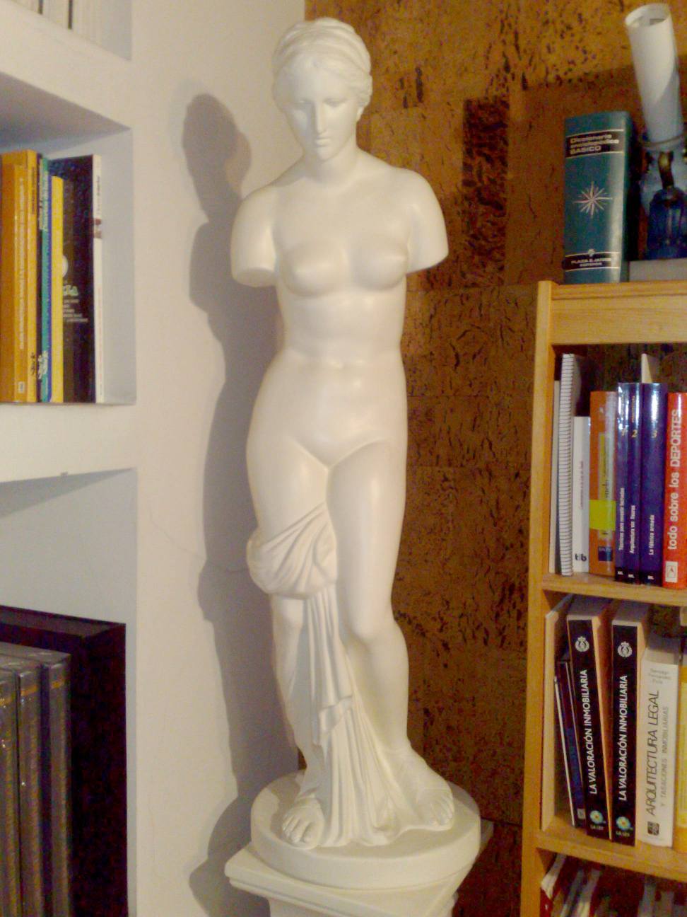 piso 6 cangas de narcea asturias (1)