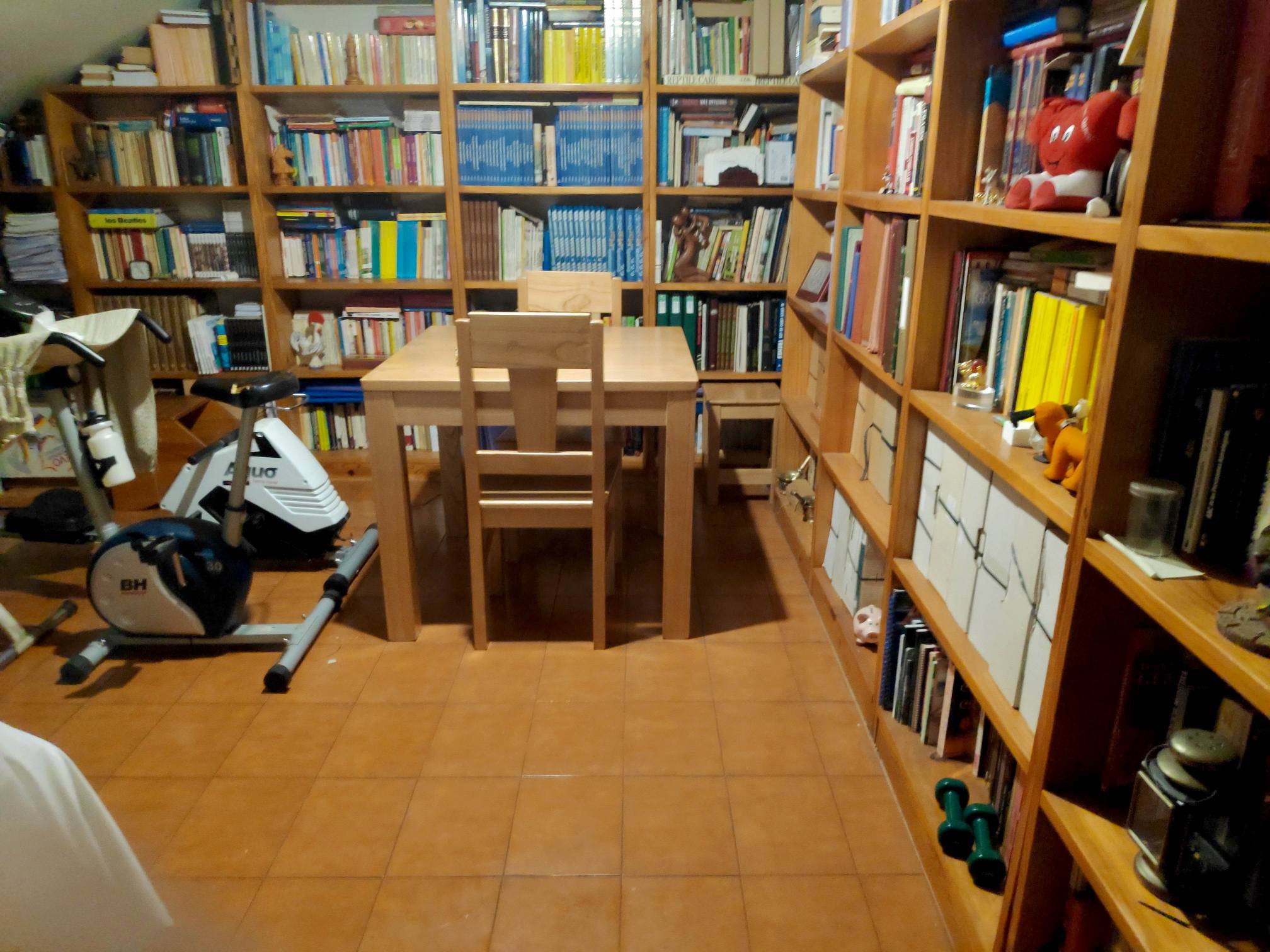 piso 6 cangas de narcea asturias (8)