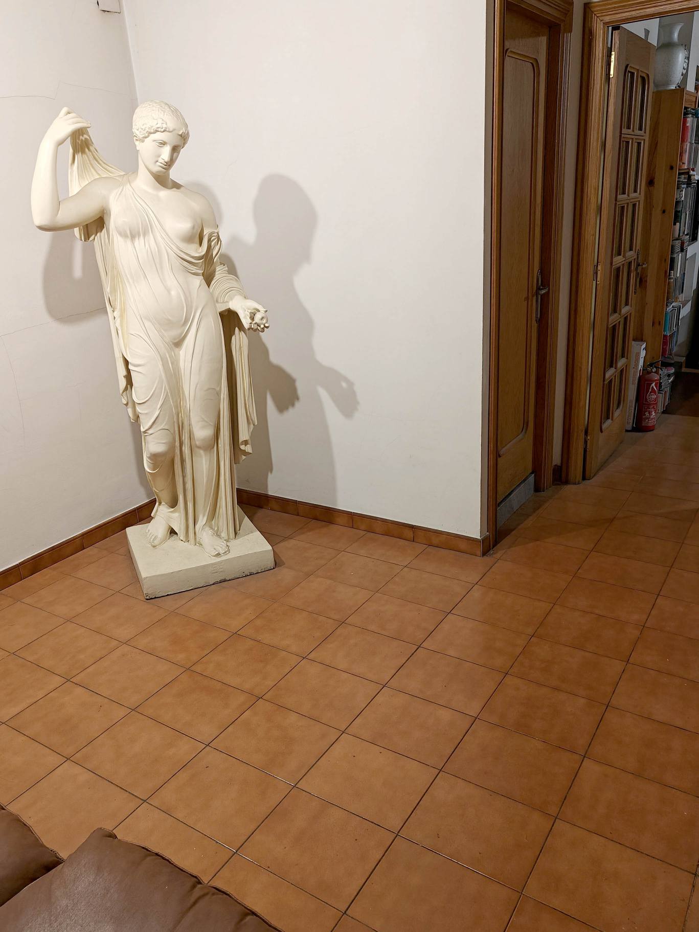 piso 6 cangas de narcea asturias (9)